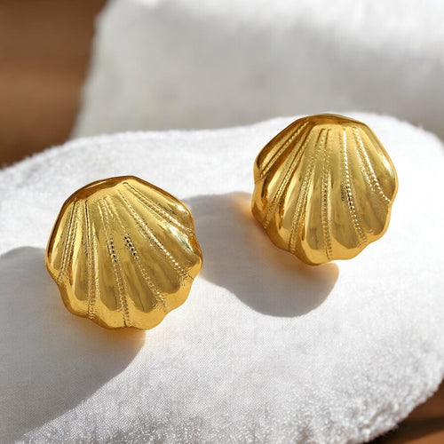 Seashell stud